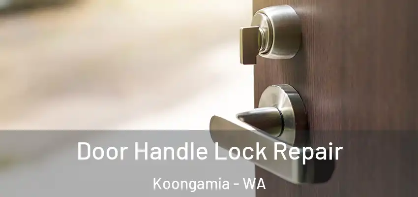Door Handle Lock Repair Koongamia - WA