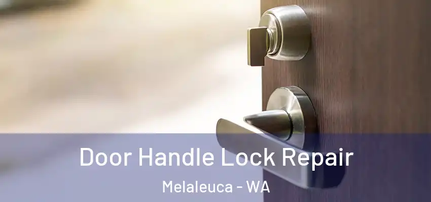 Door Handle Lock Repair Melaleuca - WA