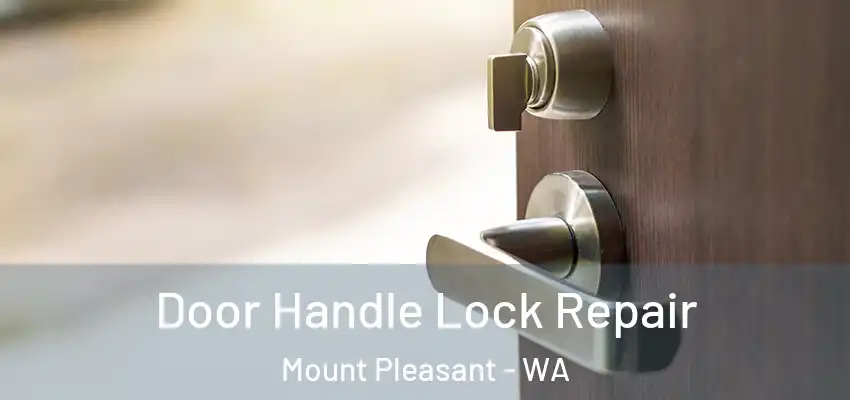  Door Handle Lock Repair Mount Pleasant - WA