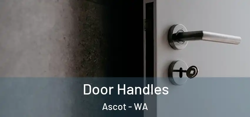  Door Handles Ascot - WA
