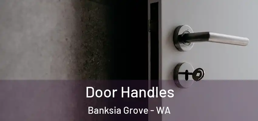 Door Handles Banksia Grove - WA
