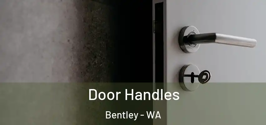  Door Handles Bentley - WA