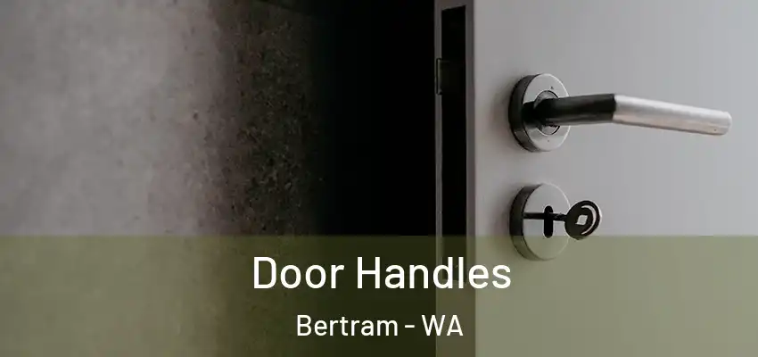  Door Handles Bertram - WA