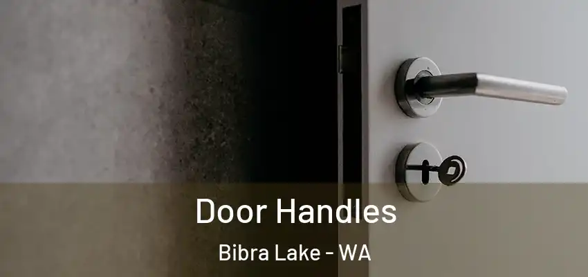 Door Handles Bibra Lake - WA