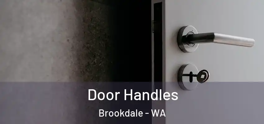 Door Handles Brookdale - WA