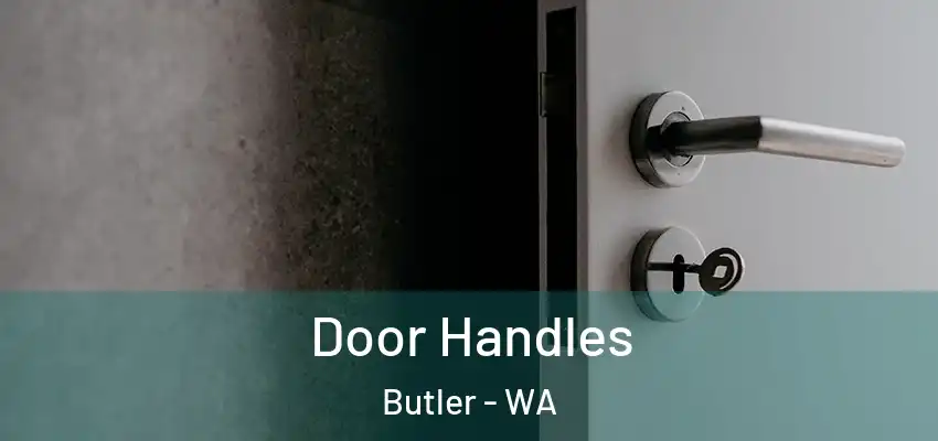 Door Handles Butler - WA