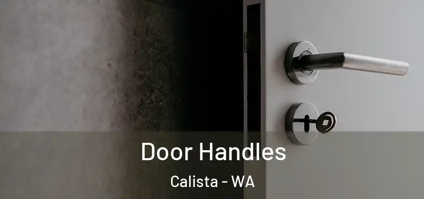 Door Handles Calista - WA