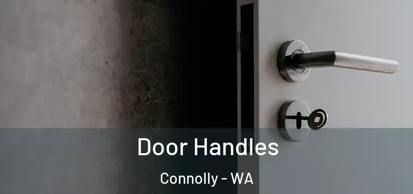 Door Handles Connolly - WA