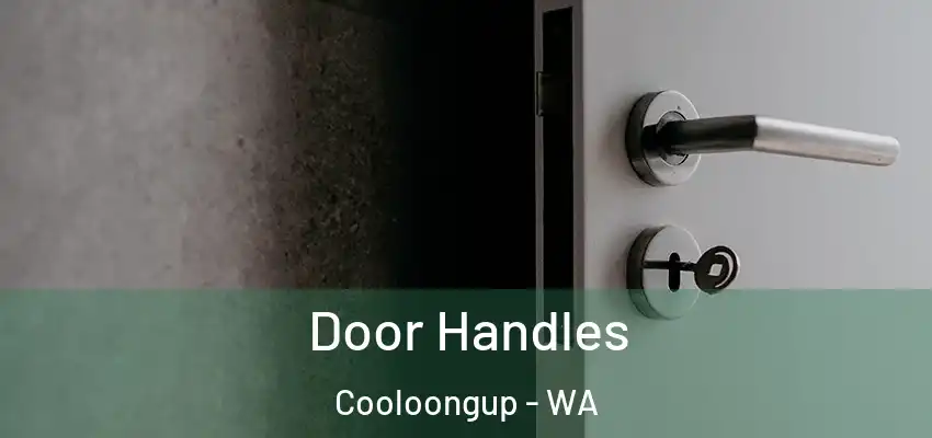Door Handles Cooloongup - WA