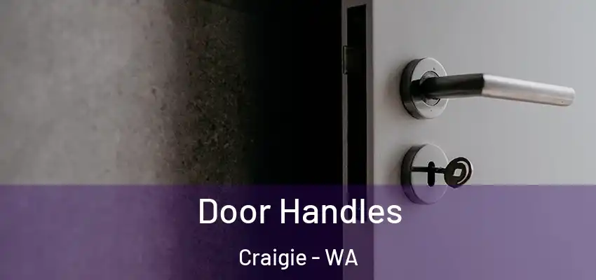  Door Handles Craigie - WA