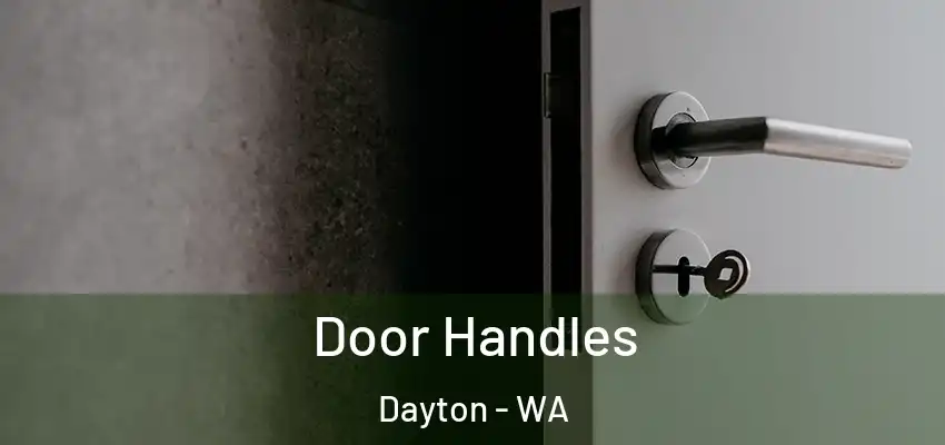 Door Handles Dayton - WA