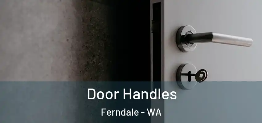  Door Handles Ferndale - WA