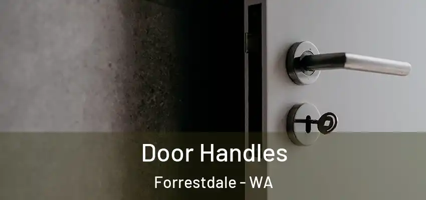  Door Handles Forrestdale - WA
