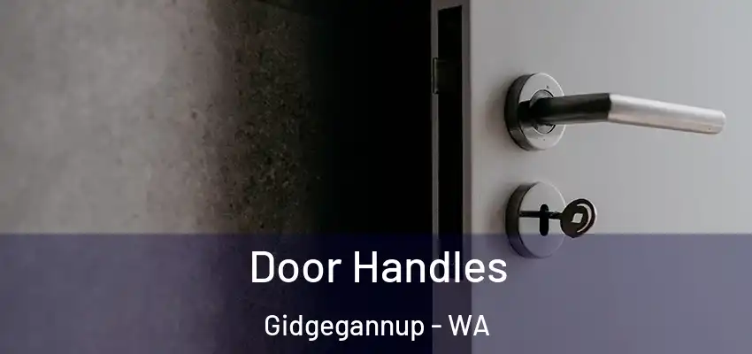 Door Handles Gidgegannup - WA