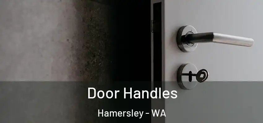  Door Handles Hamersley - WA