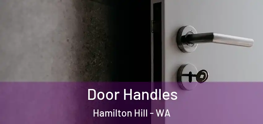  Door Handles Hamilton Hill - WA