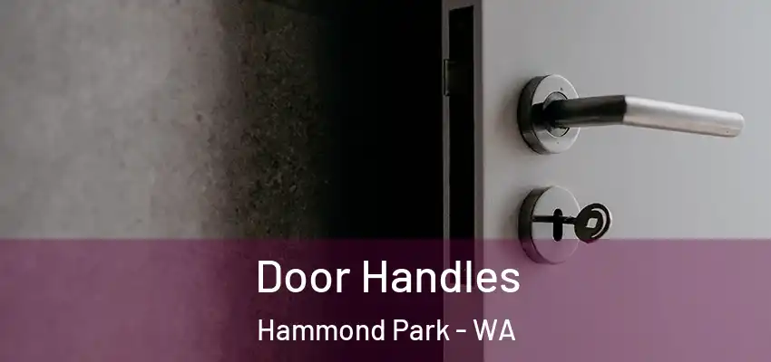 Door Handles Hammond Park - WA