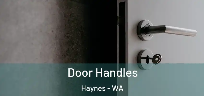 Door Handles Haynes - WA