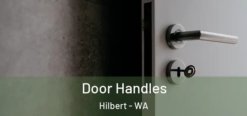 Door Handles Hilbert - WA