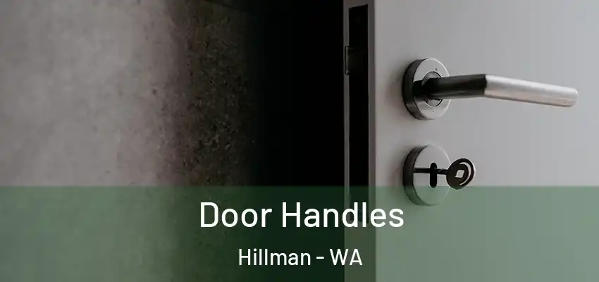 Door Handles Hillman - WA
