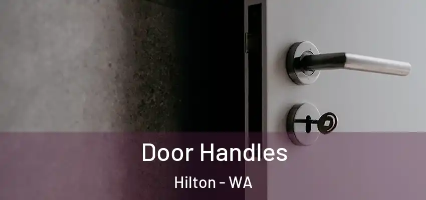 Door Handles Hilton - WA