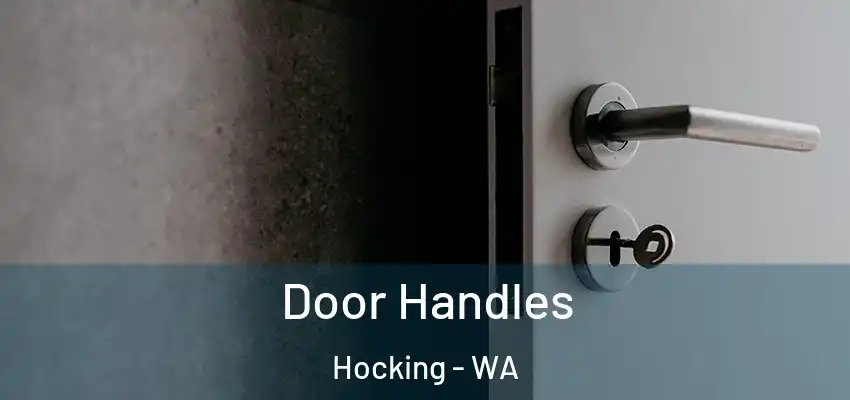  Door Handles Hocking - WA