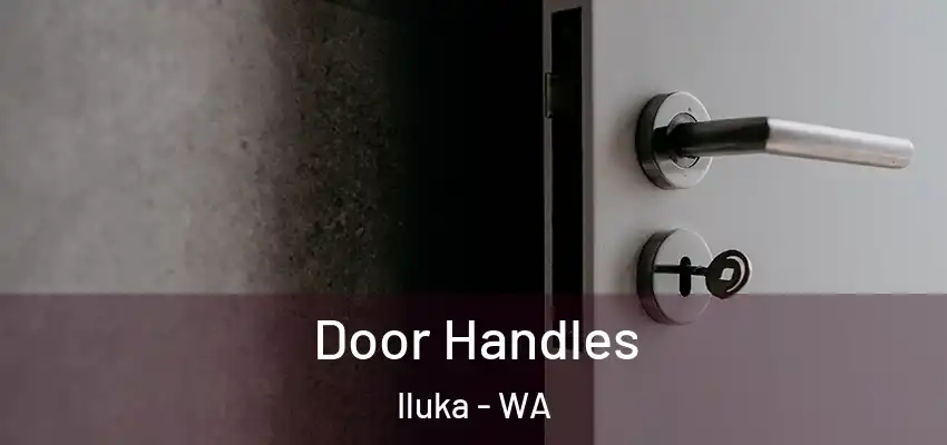  Door Handles Iluka - WA