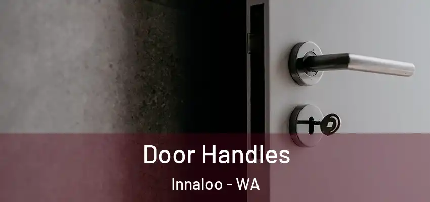 Door Handles Innaloo - WA