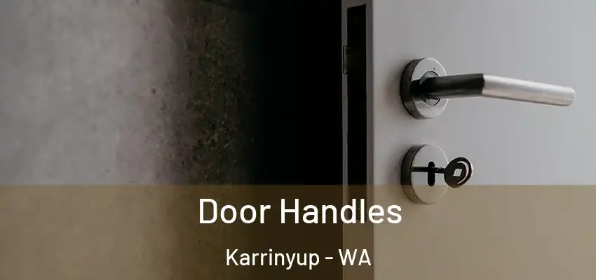 Door Handles Karrinyup - WA