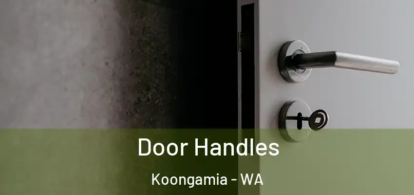 Door Handles Koongamia - WA