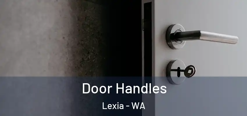 Door Handles Lexia - WA