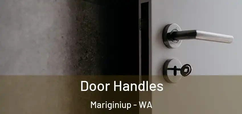 Door Handles Mariginiup - WA