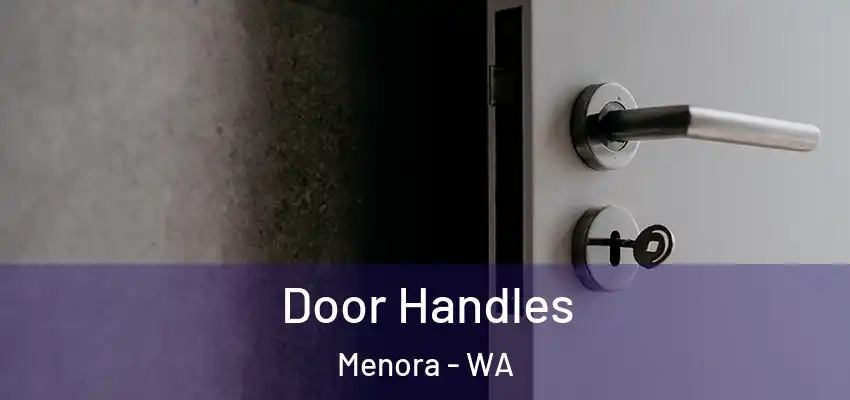  Door Handles Menora - WA