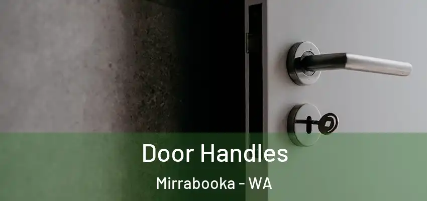 Door Handles Mirrabooka - WA