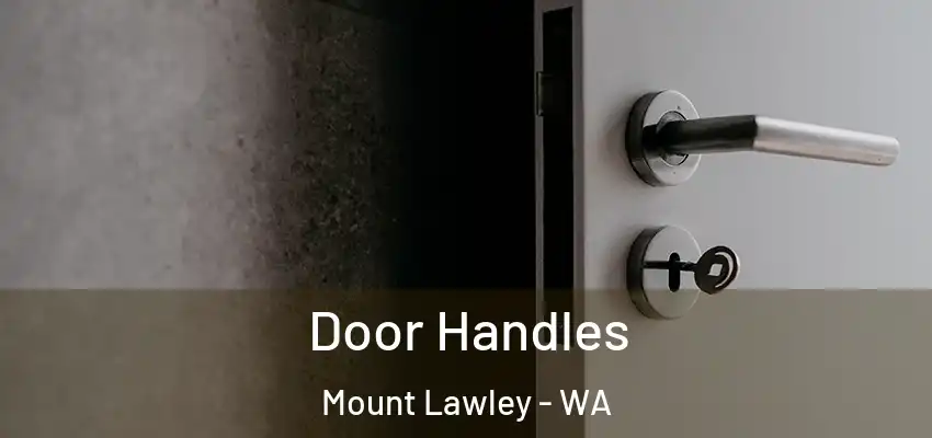 Door Handles Mount Lawley - WA