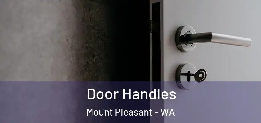  Door Handles Mount Pleasant - WA