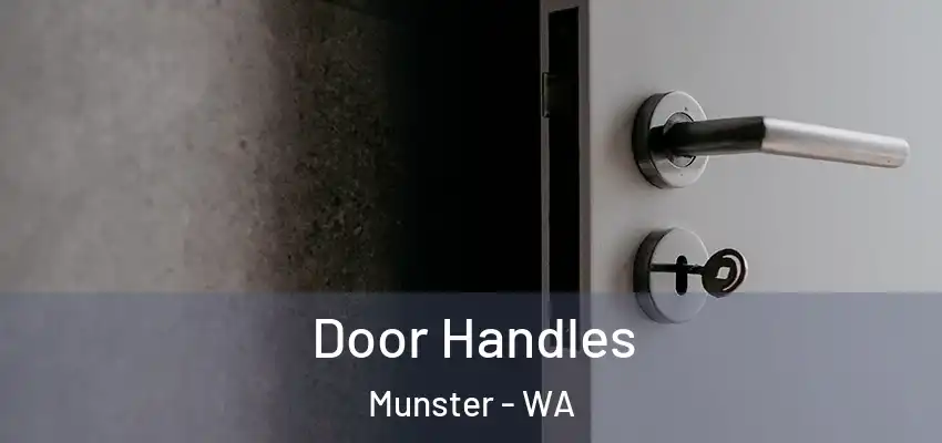 Door Handles Munster - WA