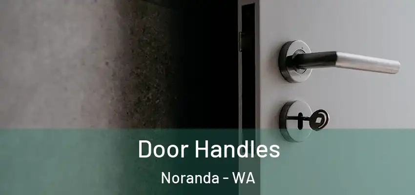 Door Handles Noranda - WA