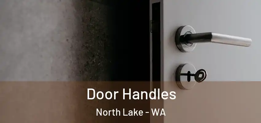 Door Handles North Lake - WA
