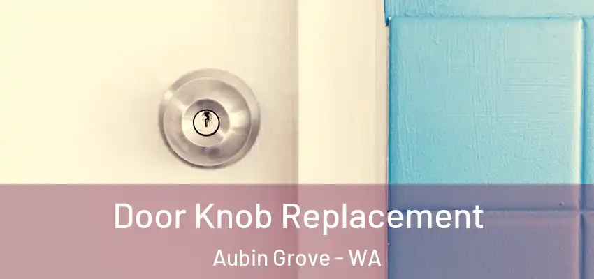 Door Knob Replacement Aubin Grove - WA