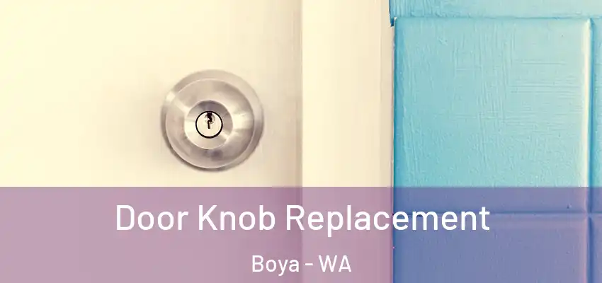Door Knob Replacement Boya - WA