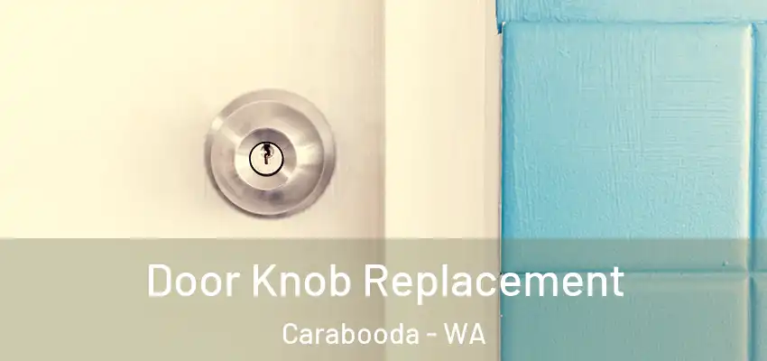 Door Knob Replacement Carabooda - WA