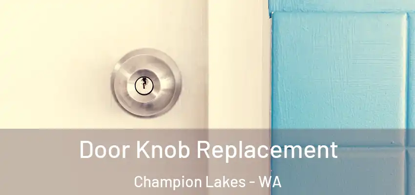 Door Knob Replacement Champion Lakes - WA