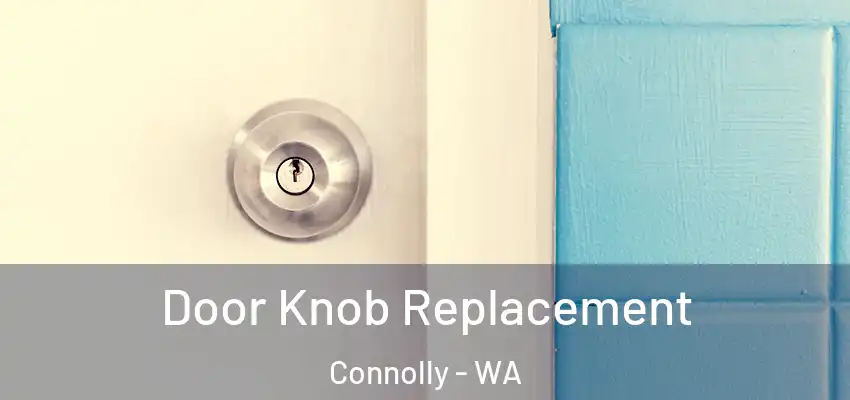 Door Knob Replacement Connolly - WA