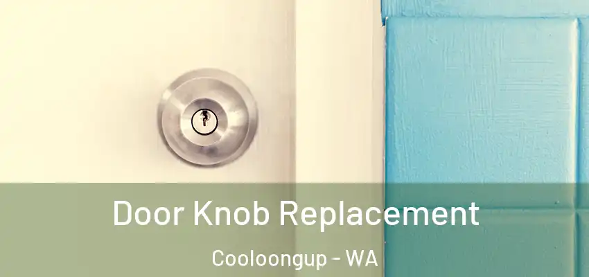 Door Knob Replacement Cooloongup - WA