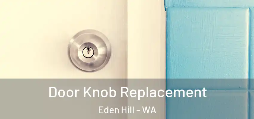 Door Knob Replacement Eden Hill - WA