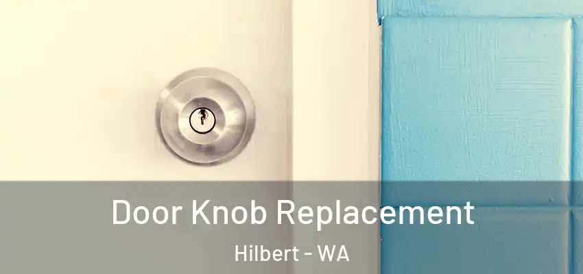  Door Knob Replacement Hilbert - WA