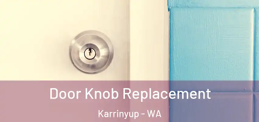 Door Knob Replacement Karrinyup - WA