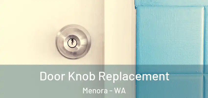 Door Knob Replacement Menora - WA