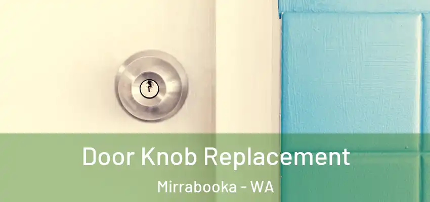  Door Knob Replacement Mirrabooka - WA